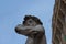 Detailed view of the copy of statue David by Michelangelo in front of the Palazzo Vecchio, Florence, Italy