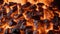 A detailed view of fiery flames amidst a pile of coal, showcasing the raw power and heat of the intense combustion process, Flames
