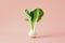 Detailed view of a green leafy plant set against a vibrant pink backdrop, A minimalist design featuring bok choy as the focal