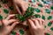 detailed view of hands arranging a sprig of holly on a festive gift box