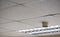 Detailed view of office suspended ceiling tiles, shown together with strip lighting