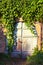 Detailed view of old wooden gate into the cellar covered by grapevine. Grapevine leaves border. Natural frame.