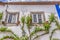 Detailed view of a Portuguese vernacular facade with climb plant around windows, on medieval village of Ã“bidos, in Portugal