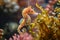 A detailed view of a seahorse perched on a plant in its natural habitat underwater, A peaceful seahorse nestled among underwater