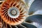 A detailed view of a spiral shaped object, highlighting its intricate design and pattern., Nautilus shell, close-up of a nautilus