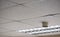 Detailed view of a suspended ceiling and smoke detector seen within a modern office.