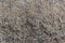 Detailed view of the typical texture of the granite stone