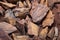 detailed view of unearthed ancient pottery shards