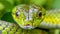 Detailed view of a vivid green snake in its natural habitat within a dense jungle setting