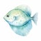Detailed Watercolor Clipart Of Frilled Sea Fish