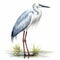 Detailed Watercolor Clipart Illustration Of A Cute Little Heron