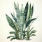 A detailed watercolor exotic botanical illustration of a snake plant by AI generated