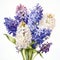 Detailed Watercolor Hyacinth Bulbs In Iconic Dutch Style