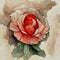 Detailed Watercolor Painting of a Blooming Red Rose. Generative AI