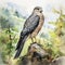 Detailed Watercolor Painting Of Hawk In Mountain Landscape