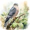 Detailed Watercolor Painting Of Hawk On Tree Branch