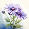 Detailed Watercolor Painting Of Purple Daisies With Background