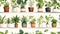 Detailed Watercolor Seamless Pattern with Common Houseplants AI Generated