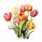 Detailed Watercolor Tulip Bouquet: Naturalistic Botanical Art From 1960s Dutch Watercolor
