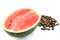 detailed watermelon, seed