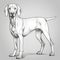 Detailed Weimaraner Dog Illustration On Gray Background