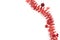 detailed wide christmas garland xmas border with fir branches is