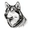 Detailed Woodcut Style Husky Head Drawing - Black And White Illustration