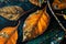 Details acrylic paintings showing colour textures, nature, plants and trees