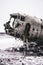 Details of an American DC-3 plane that crashed in SÃ³lheimasandur. Landmarks of Iceland.