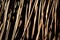 The details of the Attalea funifera broom strands