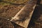 Details of beekeeping close up. Bees drink water from a wooden board