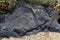 Details of black vulcanic stone