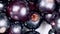 Details of blackcurrant berries. Dark ripe berries. Food background.