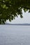 Details of branches of a tree in tropical climate, Caroni river and mountains on background of image.