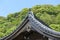 Details building roof reflecting beautiful traditional Japanese architecture