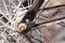 Details of the center of the bicycle wheel. Skewers, fork and nut in shallow focus.