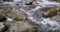 Details with the clear water of a running mountain stream during a cold and sunny winter day