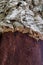 Details of Cork in a Sobreiro tree in Santiago do Cacem