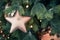 Details decorated Christmas tree with golden star balls, garland. Outdoor fair. Xmas card and pattern. Close up