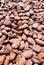 Details of dried cocoa beans on drying patio in full sun