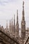 Details of Duomo Cathedral in Milan, Italy