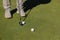 Details of the feet of a male golfer playing about to swing the ball on the green grass