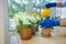 Details: gloved hands of a housewife watering houseplants with a sprinkling can, taking care of plants in the veranda