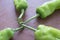 Details of green pepper and sharp pepper for cooking