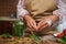 Details on the hands of a housewife in a chef& x27;s apron peeling fresh garlic by the hands, standing at a kitchen table