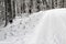 Details of a hikking trail in the snowy woods