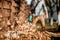 details of leaves swirling up when worker uses home leaf blower