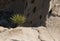 Details, Mohave National Preserve, Hole in the Rock area