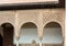 Details of the Myrtles Patio de los Arrayanes in Alhambra