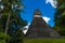 Details of the Ruins of Tikal